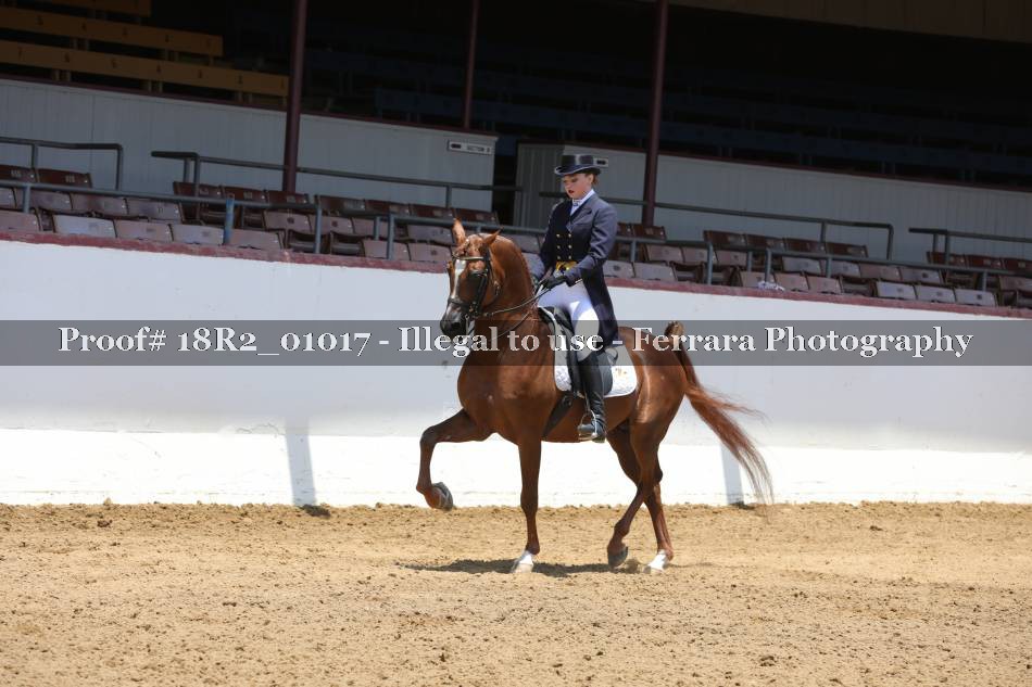 Proof 18R2_01017