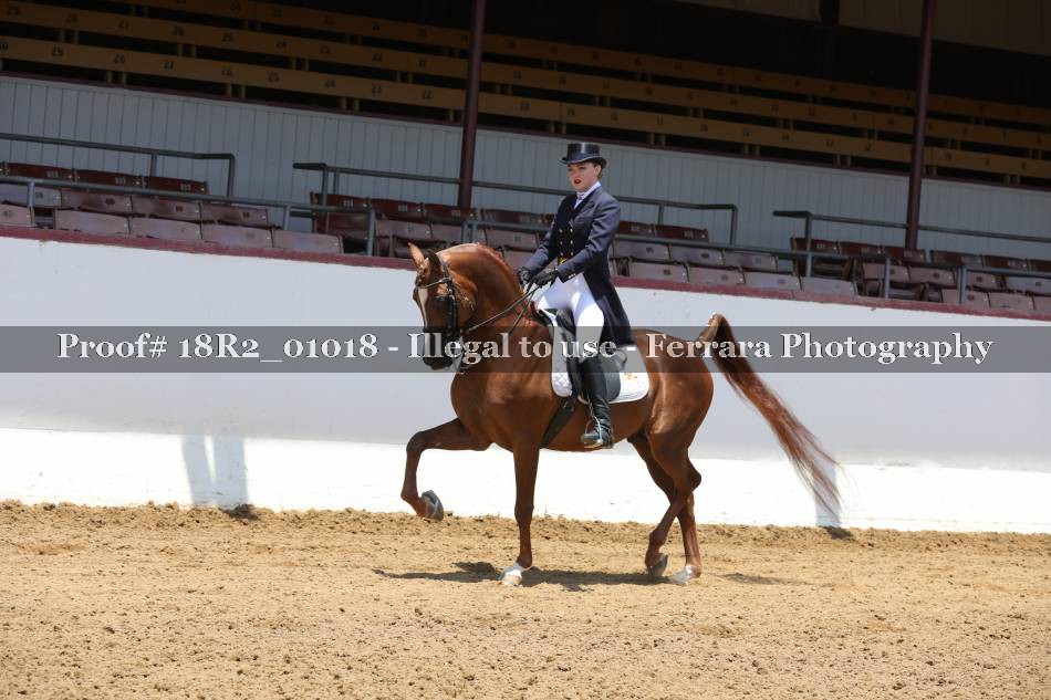 Proof 18R2_01018