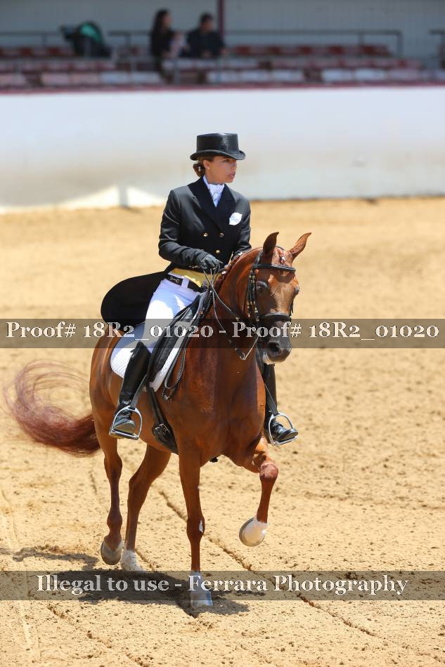Proof 18R2_01020