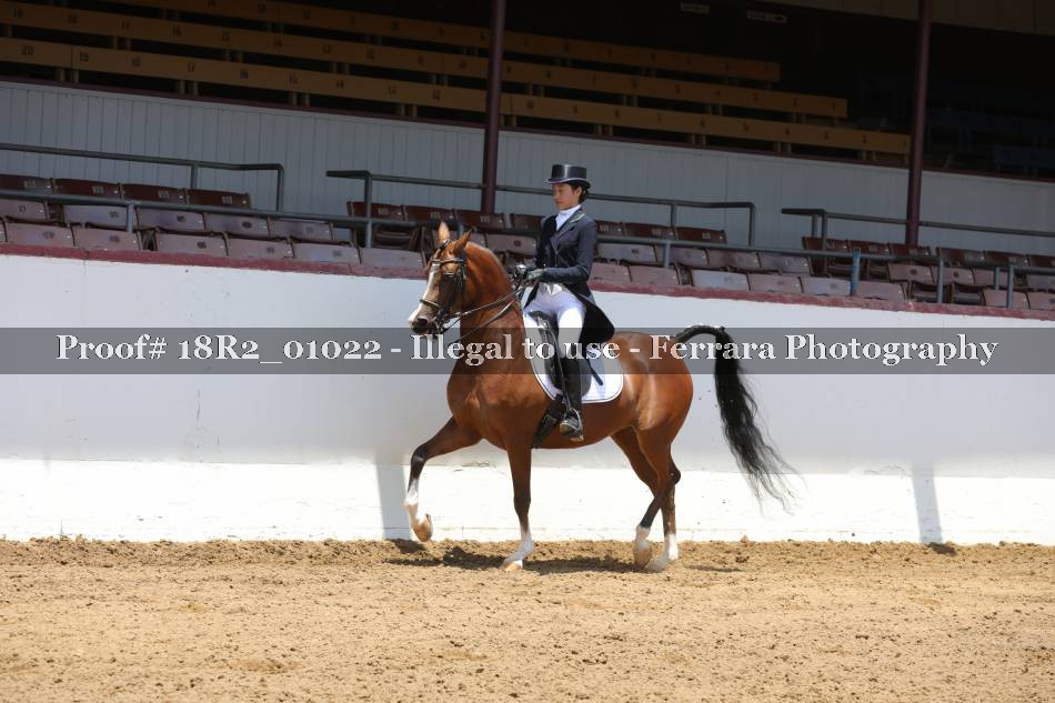 Proof 18R2_01022