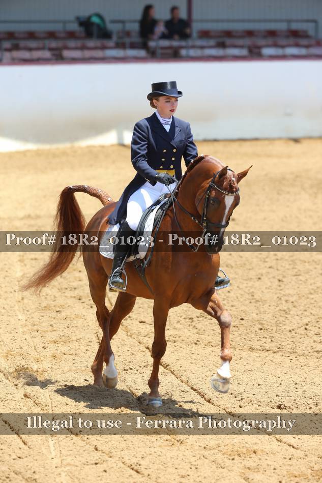 Proof 18R2_01023