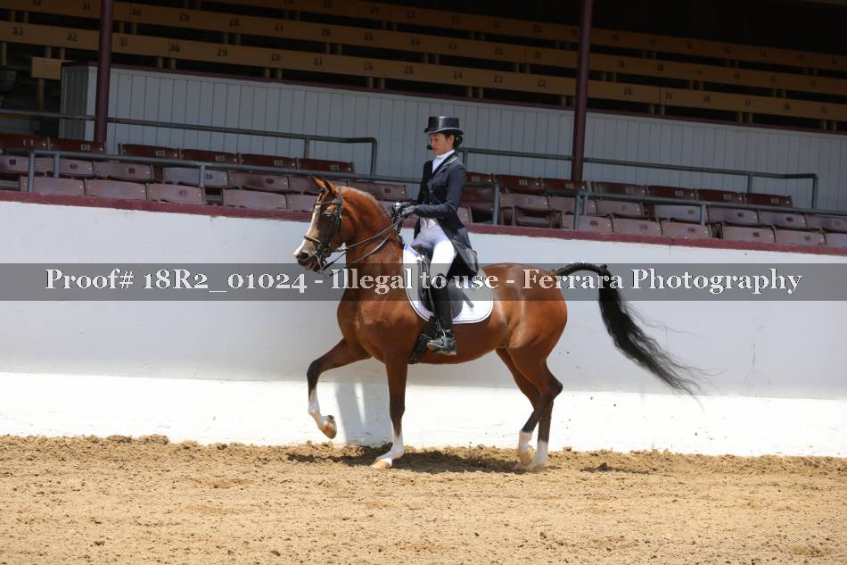 Proof 18R2_01024