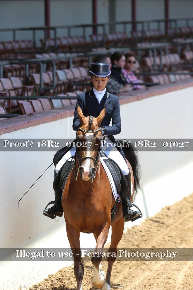 Proof 18R2_01027