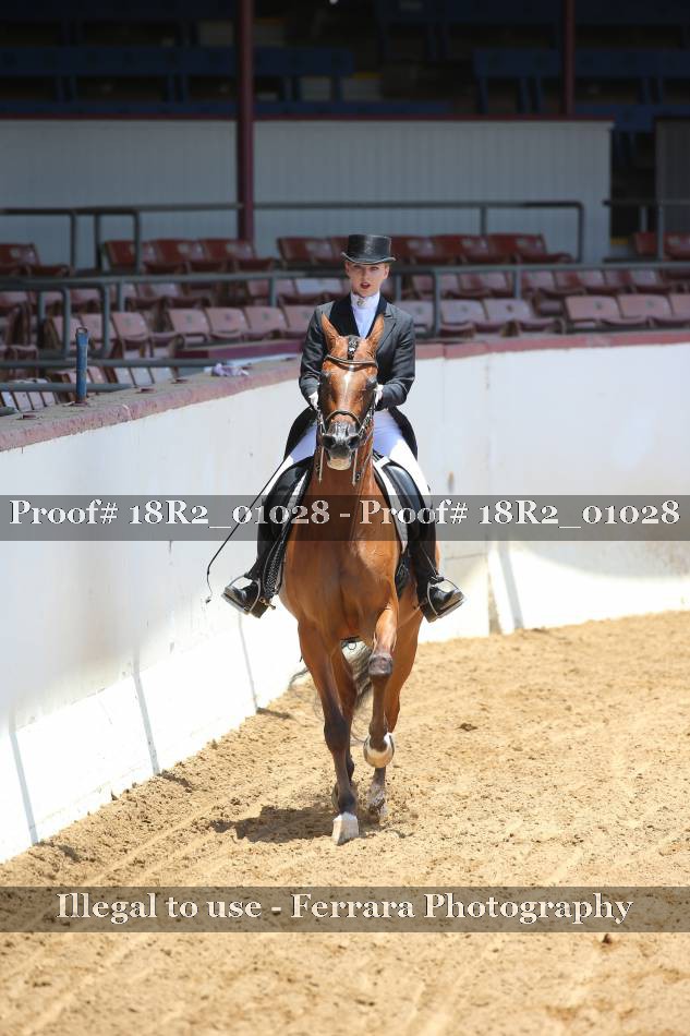 Proof 18R2_01028