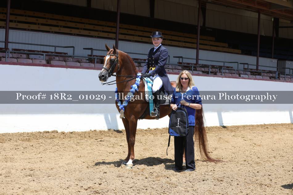 Proof 18R2_01029