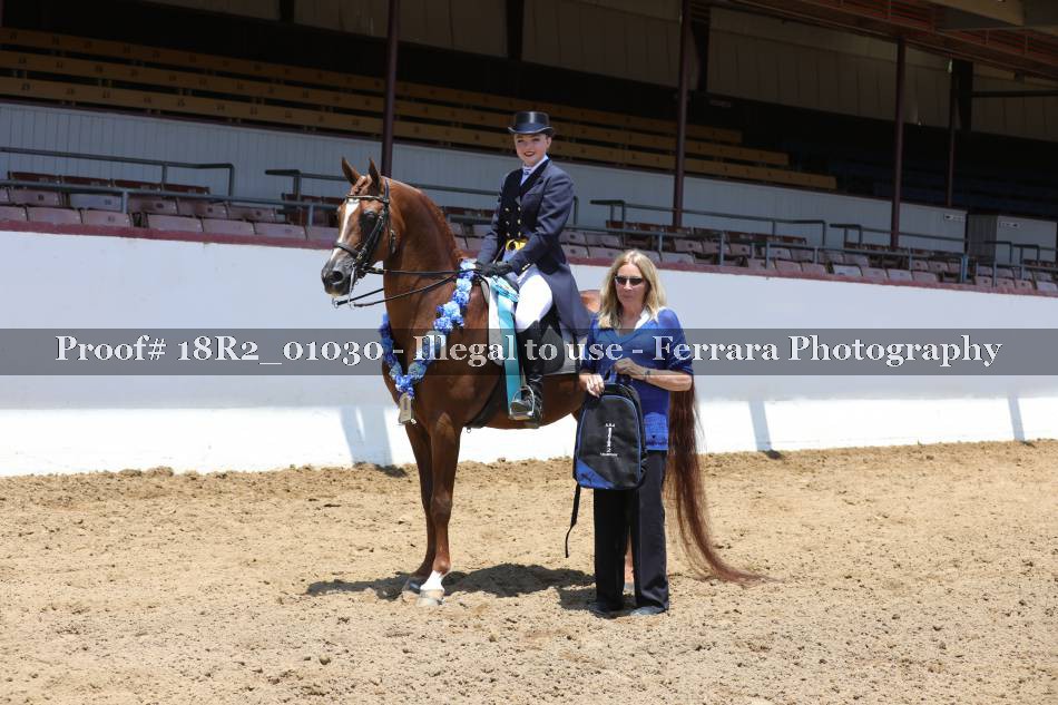 Proof 18R2_01030