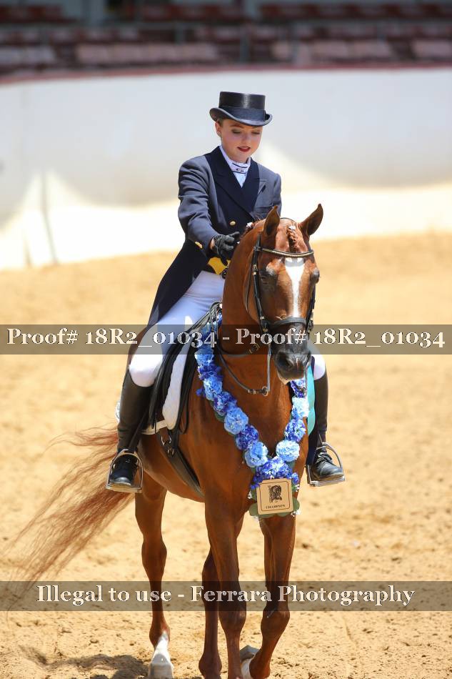 Proof 18R2_01034