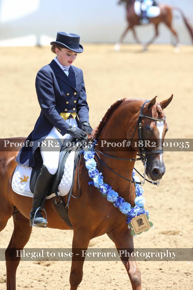 Proof 18R2_01035