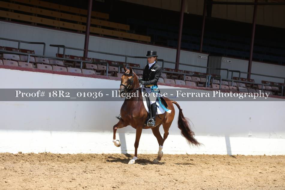 Proof 18R2_01036