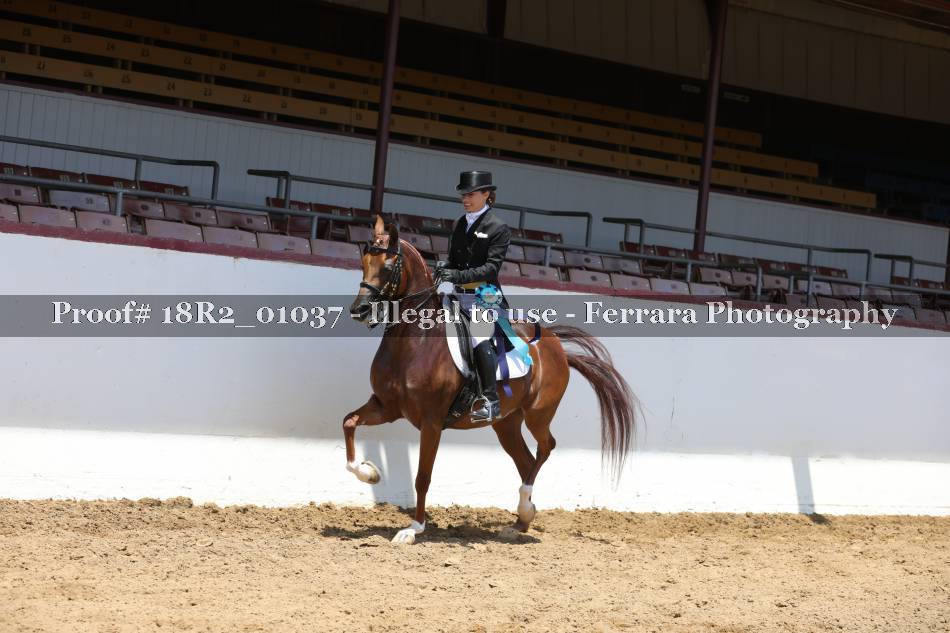 Proof 18R2_01037