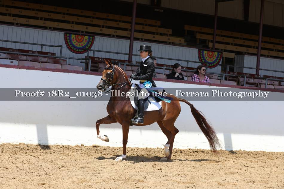 Proof 18R2_01038