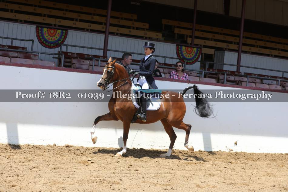 Proof 18R2_01039