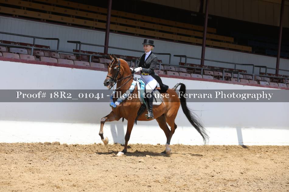 Proof 18R2_01041