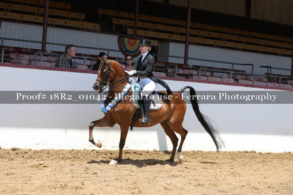 Proof 18R2_01042