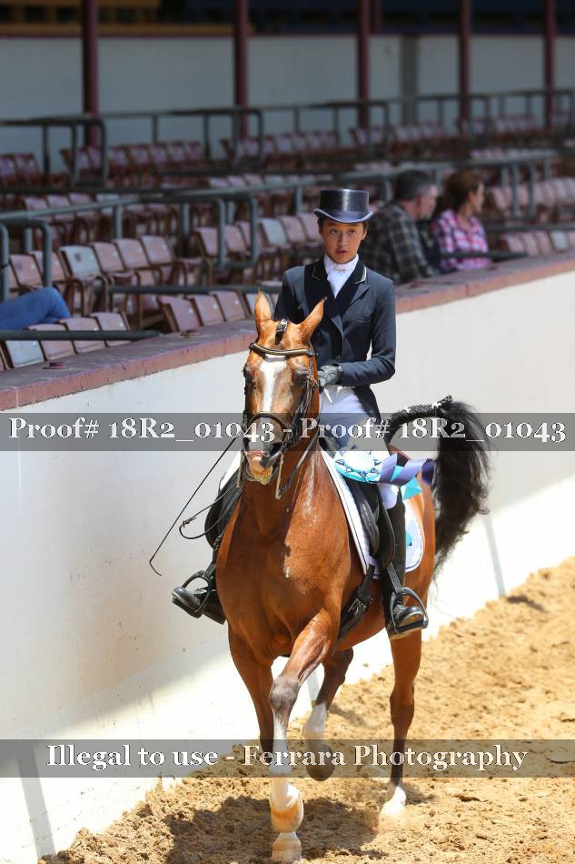Proof 18R2_01043
