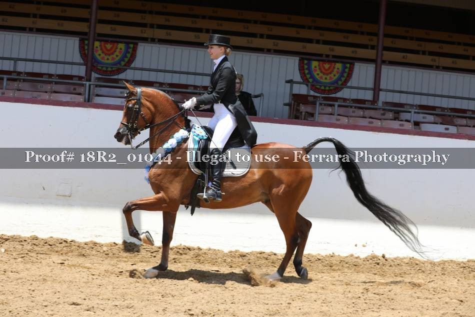 Proof 18R2_01044