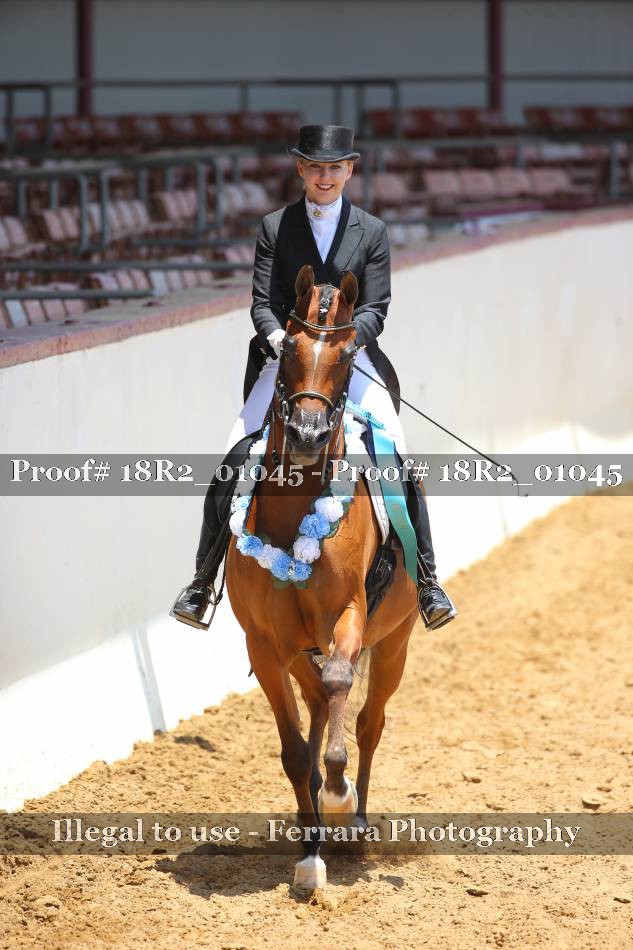 Proof 18R2_01045
