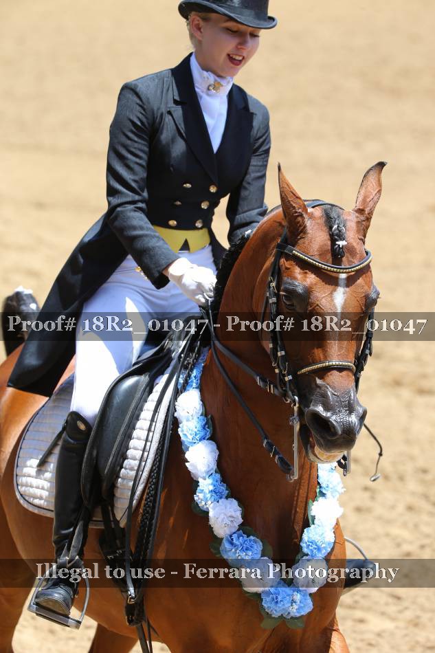 Proof 18R2_01047