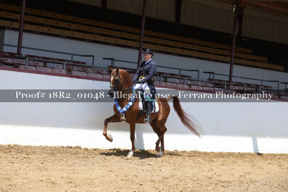Proof 18R2_01048
