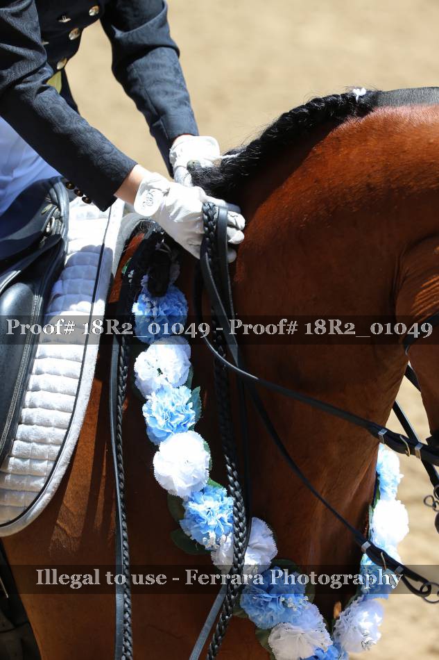 Proof 18R2_01049