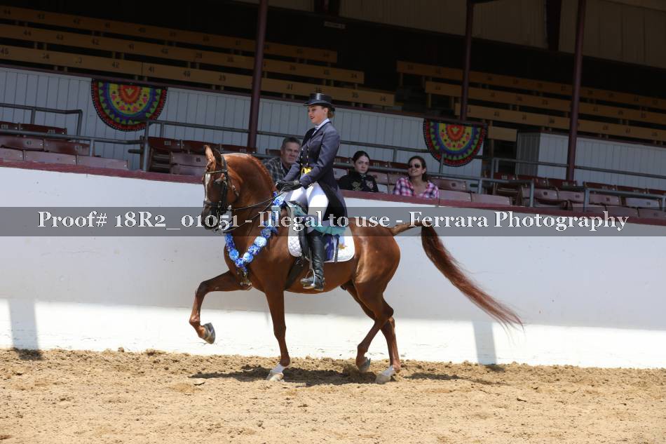 Proof 18R2_01051