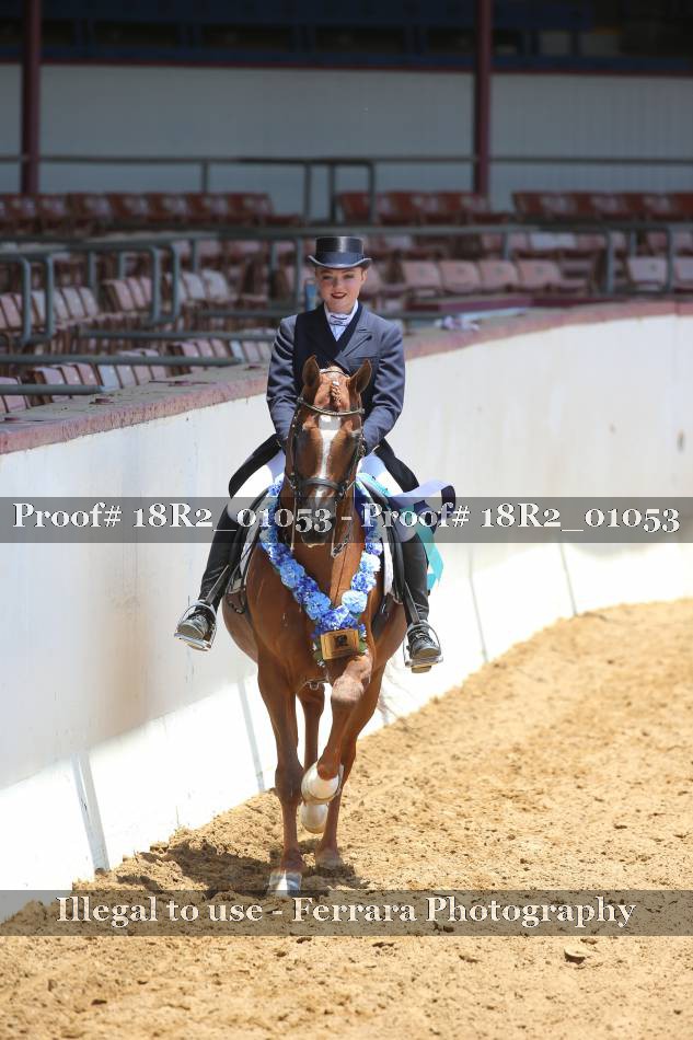 Proof 18R2_01053