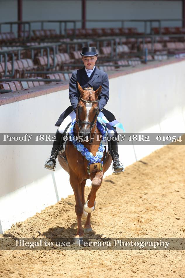 Proof 18R2_01054
