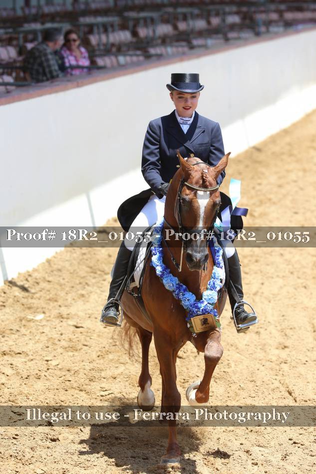 Proof 18R2_01055