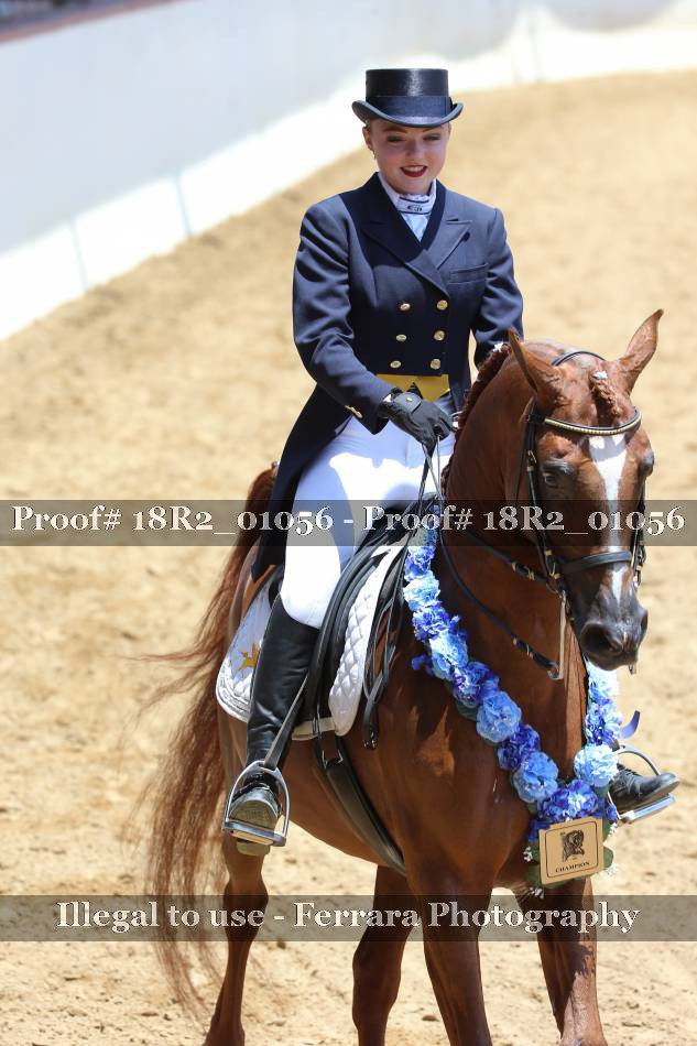Proof 18R2_01056