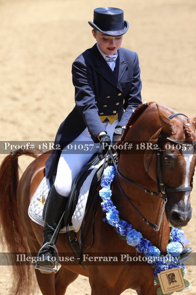 Proof 18R2_01057
