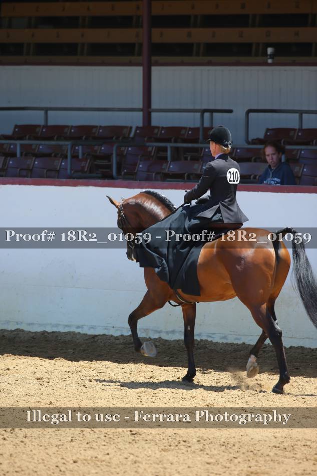 Proof 18R2_01059