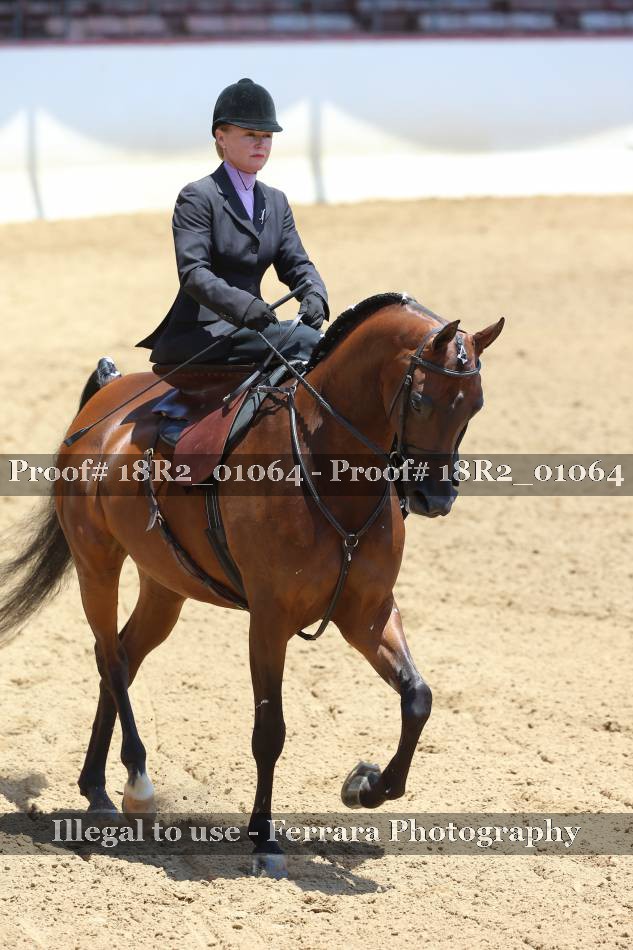 Proof 18R2_01064