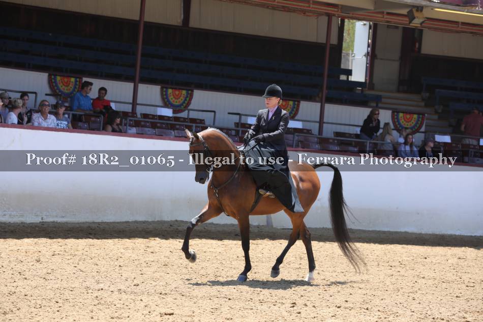 Proof 18R2_01065