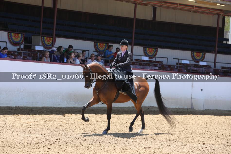 Proof 18R2_01066