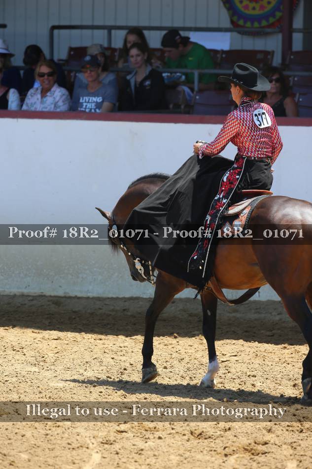 Proof 18R2_01071