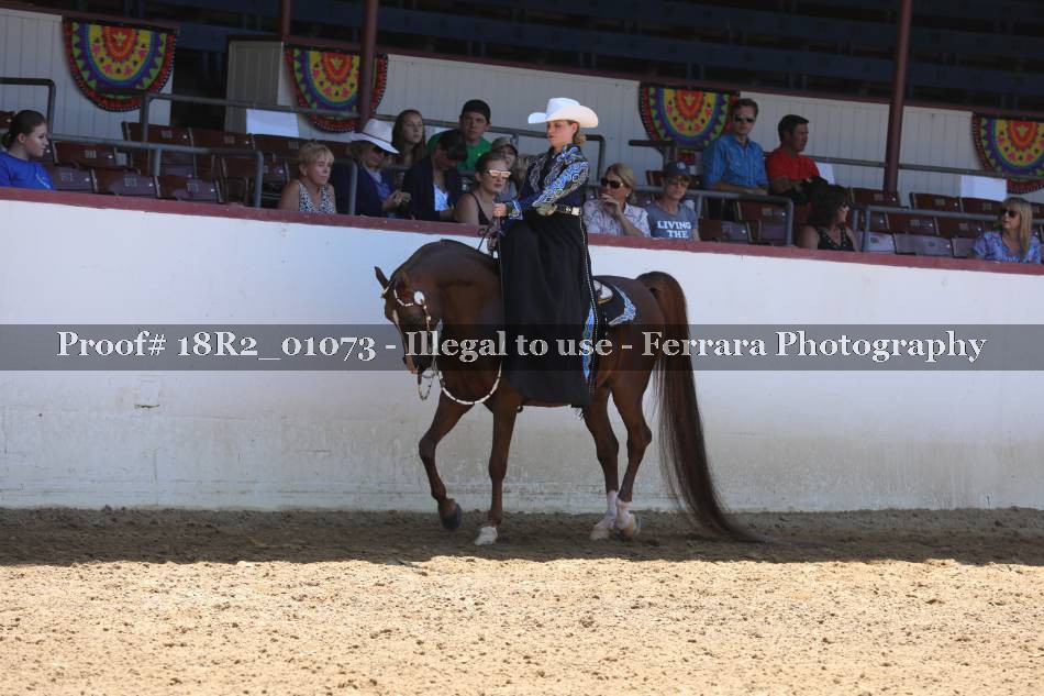 Proof 18R2_01073