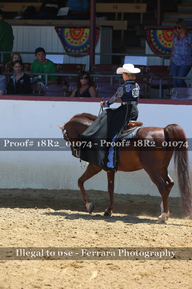 Proof 18R2_01074