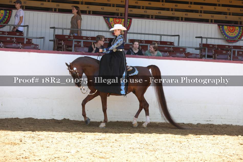 Proof 18R2_01075