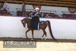 18R2_01075 proof