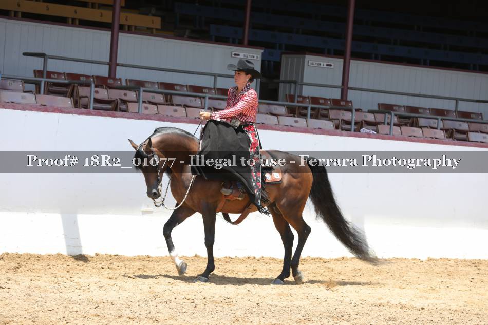 Proof 18R2_01077
