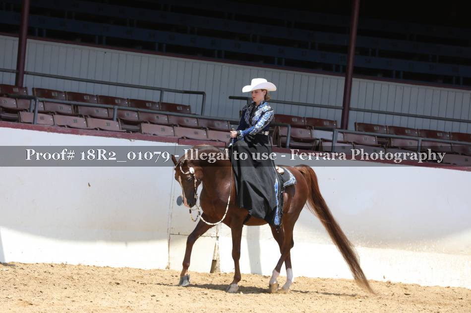Proof 18R2_01079