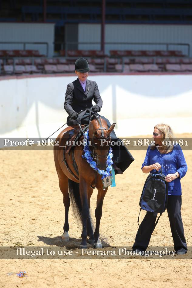 Proof 18R2_01081