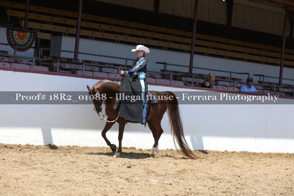 Proof 18R2_01088