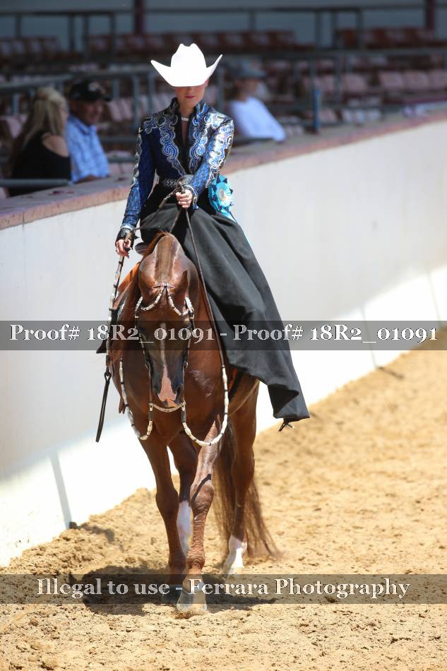 Proof 18R2_01091
