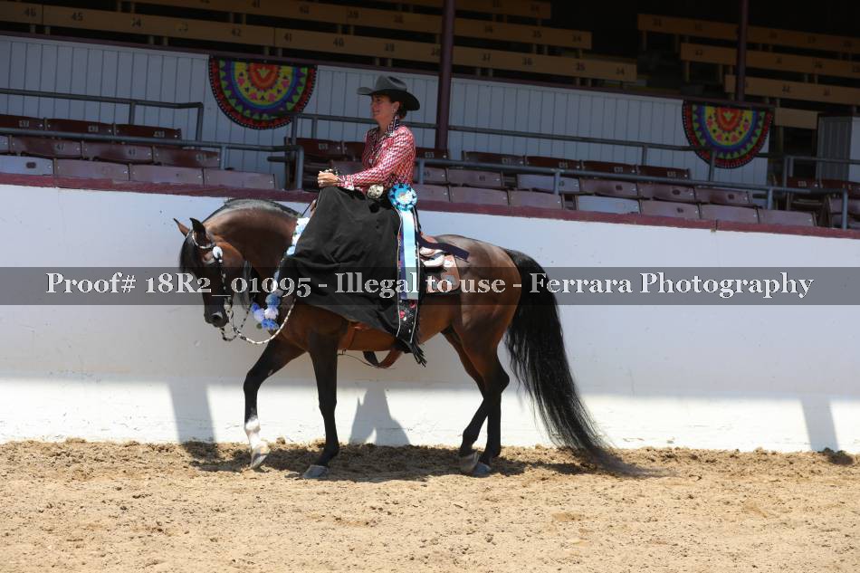 Proof 18R2_01095