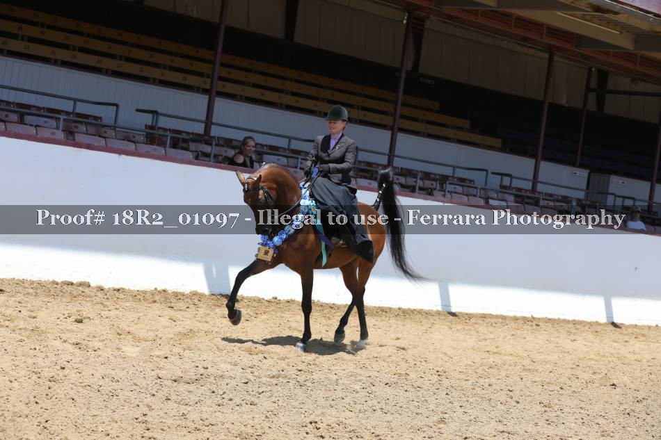Proof 18R2_01097