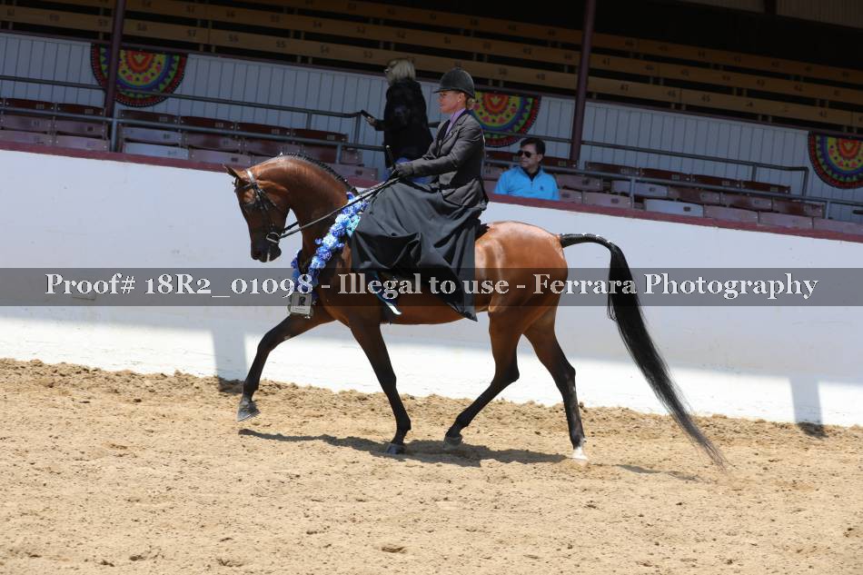Proof 18R2_01098
