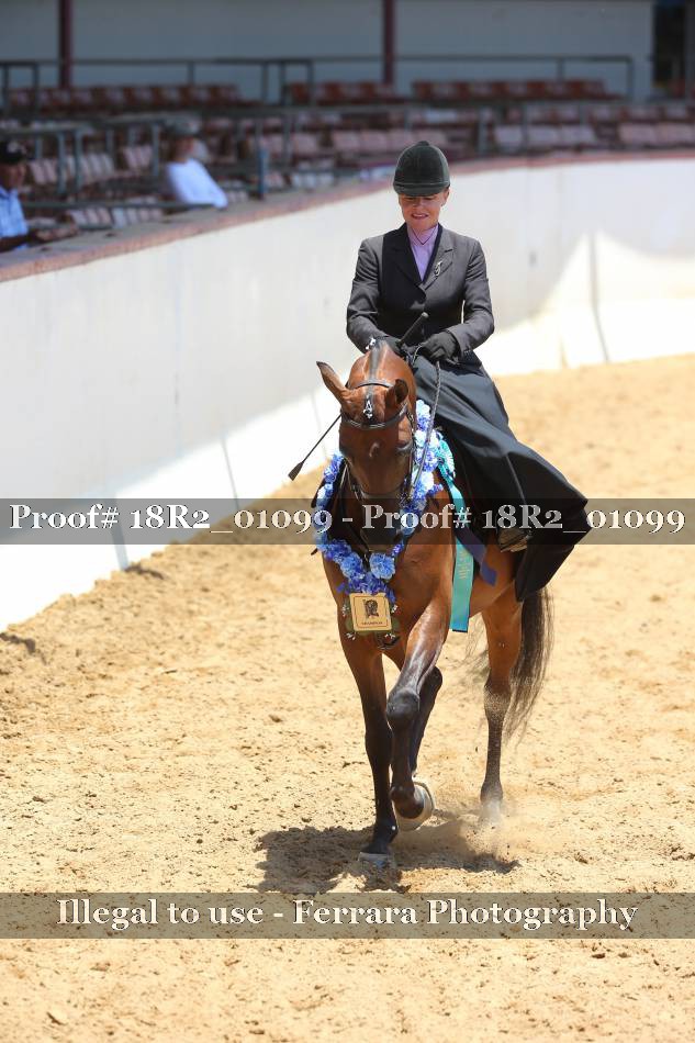 Proof 18R2_01099