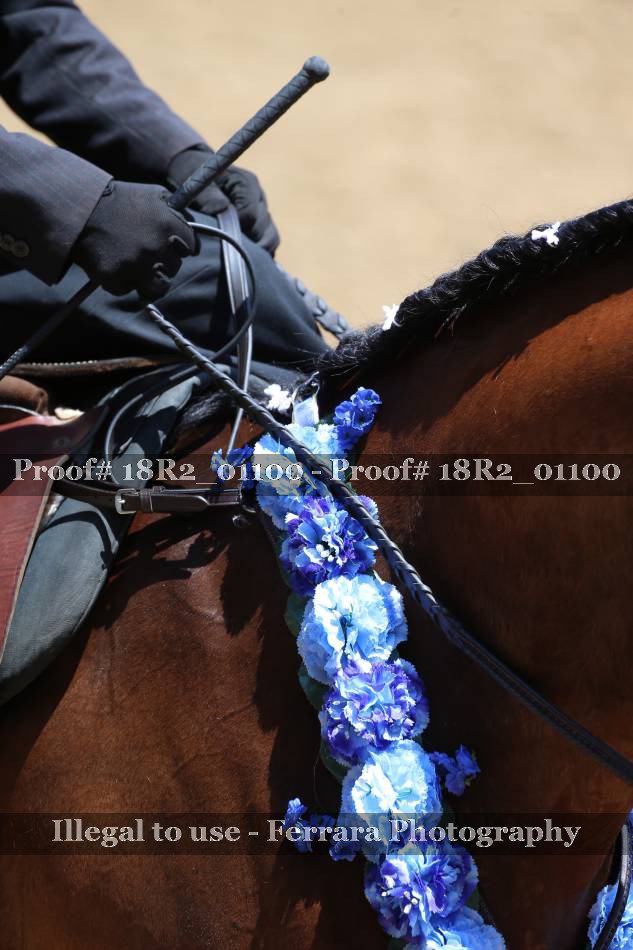 Proof 18R2_01100
