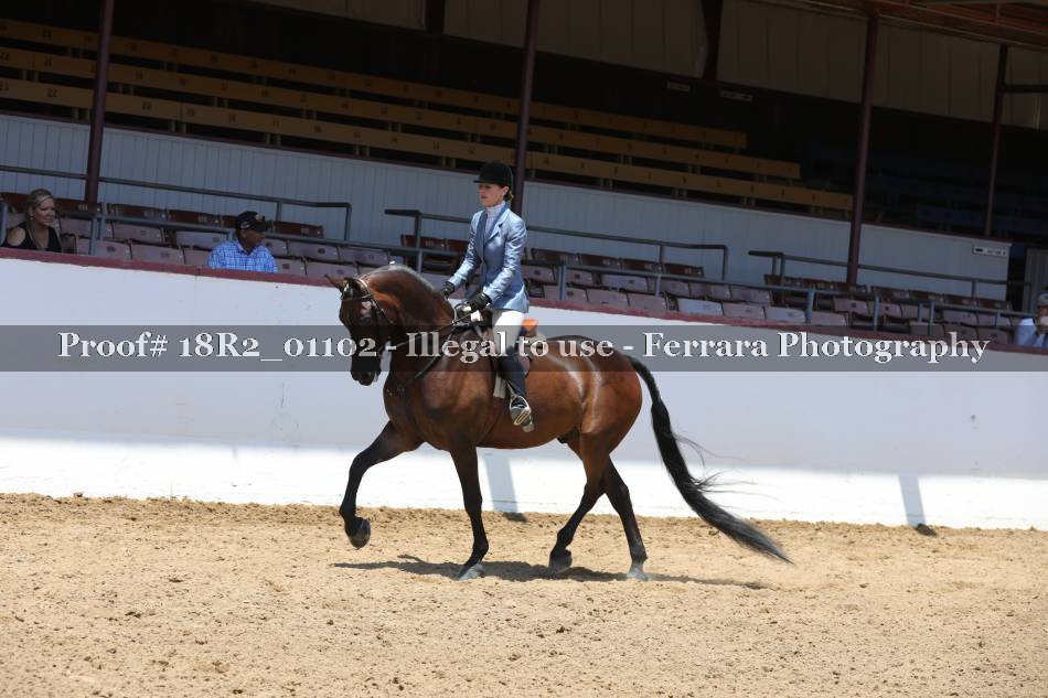 Proof 18R2_01102